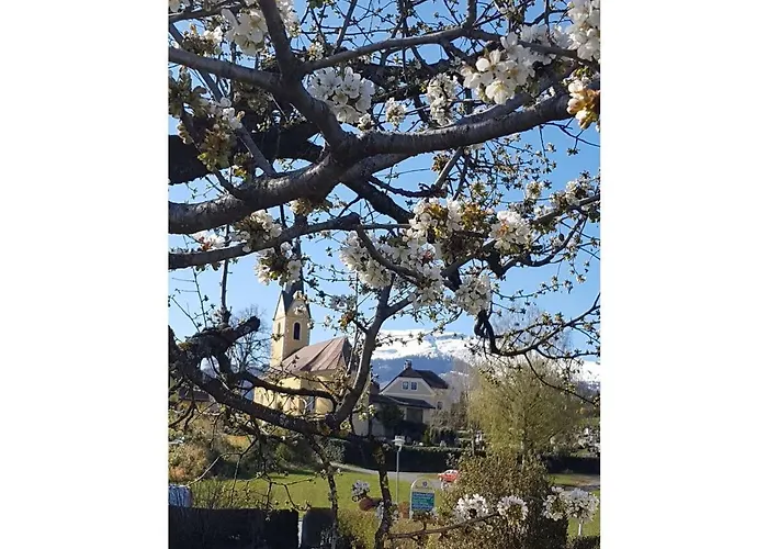 Koetzing Holiday home *